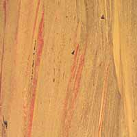 patagonia-portfolio-piece